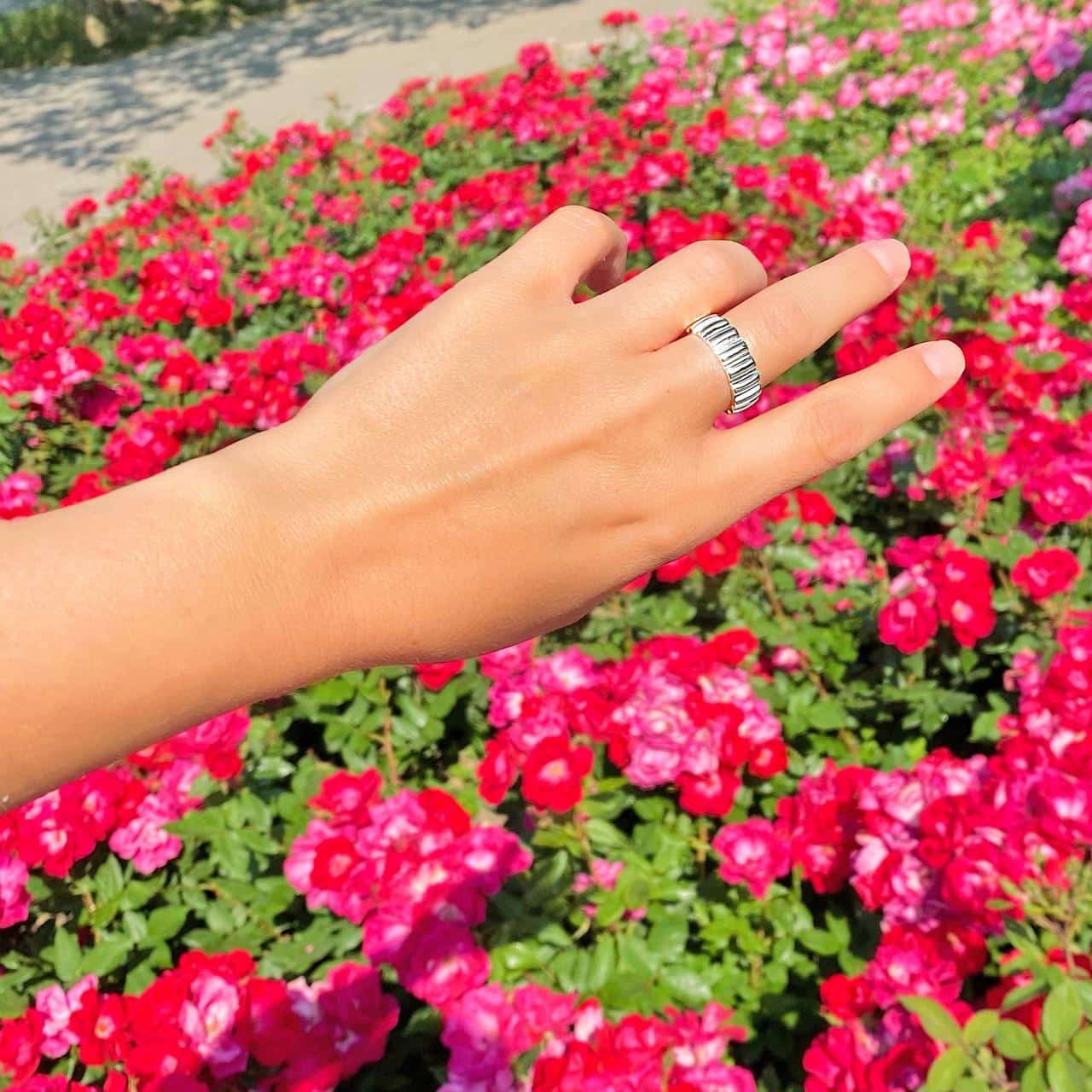 Silber-Ring mit polierter Oberfläche glänzt in der Sonne im Rosengarten Rapperswil 