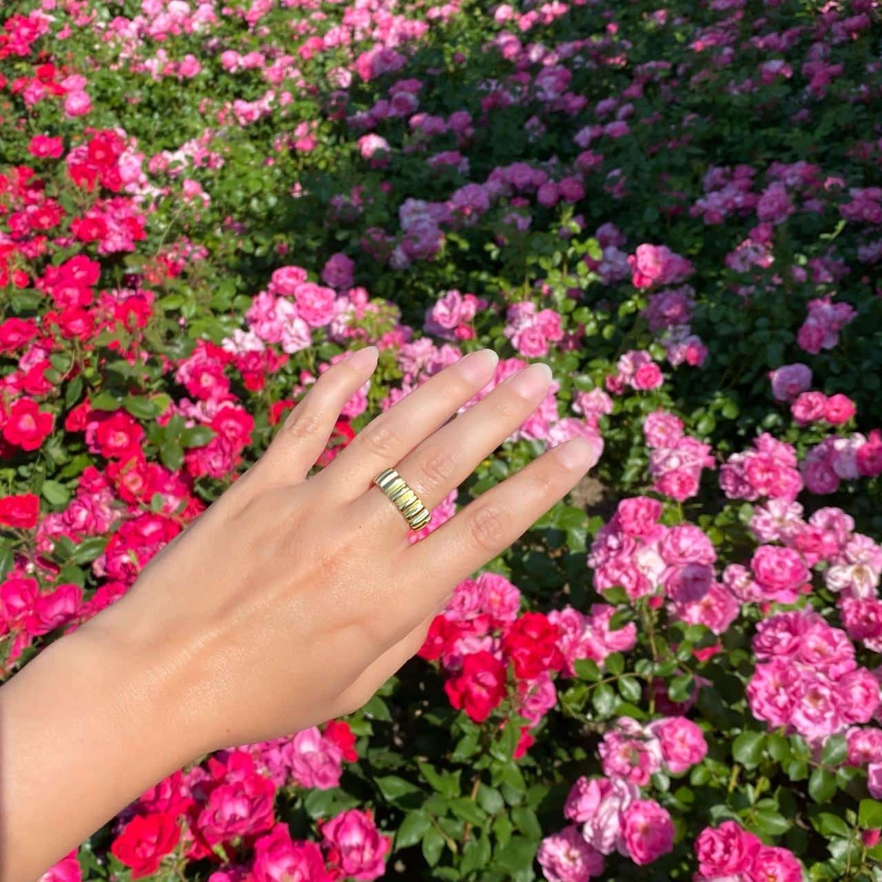 Goldener Silberring mit Rillen und polierter Oberflächer im Rosengarten in Winterthur  bei den Rosen